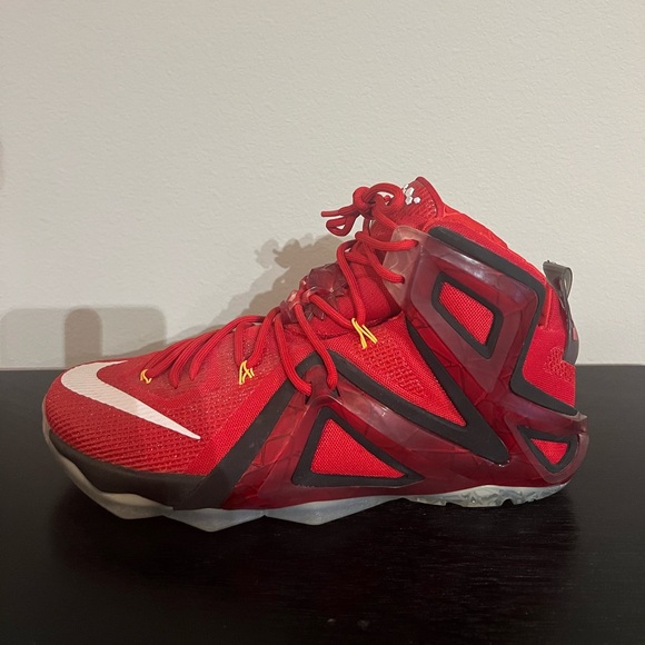 lebron 12 elite team